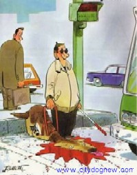 El tr�fico debe estar terrible. Hemos estado en esta esquina un buen rato!