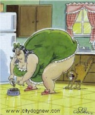 No solo de los perros se asustan los gatos!