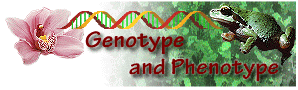 Genotype and Phenotype