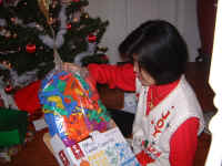 DSCF0100.JPG (272737 bytes)