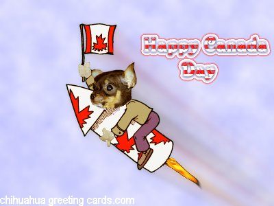 Canada Day card #1 flash card