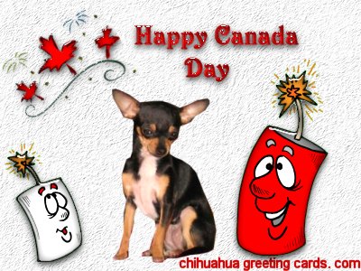 Canada Day card #2 flash
