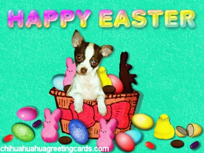 Easter 2 Flash card