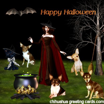  Halloween 8 Java card