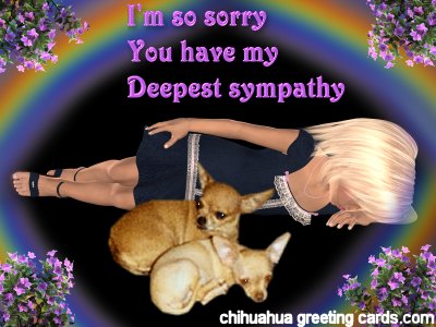 Sympathy Java
        height=