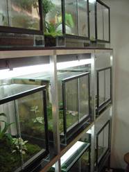 Beschrijving: Beschrijving: Beschrijving: Beschrijving: C:\Users\Marc\Documents\leerstad\cursus internet\PICT2886.JPG