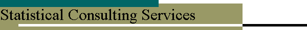 Statistical Consulting Services