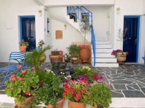 Aegina hotels, Pension Electra