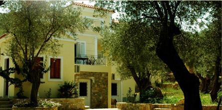 Lesbos Hotels Hotel, Olive Grove
