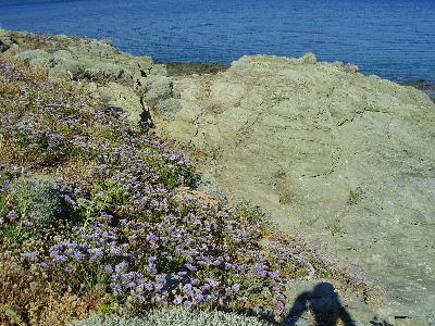 Agios Fokas Lesbos