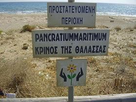 Xerokampos Beach, zuidoost Kreta