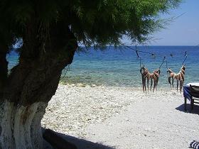 Samos, Agios Konstantinos