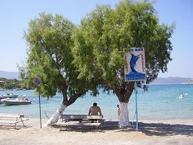 Samos, Posidonio beach