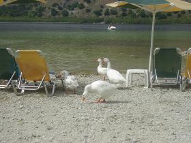 Lake Kournas, Crete, Kreta