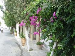 Panormos, Kreta, Crete