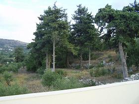 Sophia's House, Villa in Crete, Almirida, Kreta