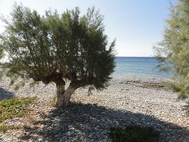 Koutsouras Beach, Handras, Crete, Kreta