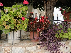 Loulos, Crete, Kreta
