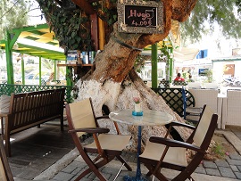 café Olympio Bar - Makrigialos, Crete, Kreta