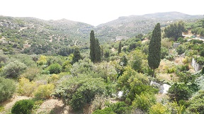 Pefki, Pefkoi, Crete, Kreta.