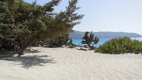 Kedrodasos Beach, Crete, Kreta
