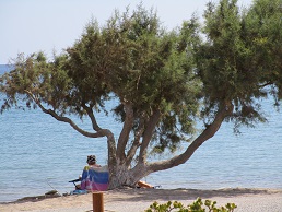 Kouremenos beach, Lassithi, Kreta, Crete.