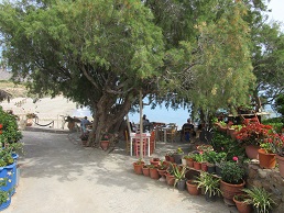 Diaskari Taverna, Diaskari beach - Analipsi, Makrigialos, Lasithi, Crete, Kreta