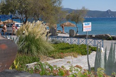 Oasis studios - Psili Amos beach, Samos