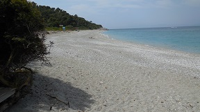 Skopelos, Milia beach