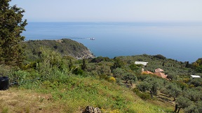 Villa Nina in Skopelos