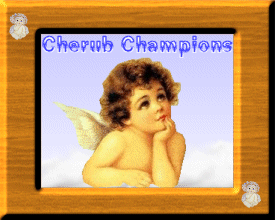 Cherub Champions