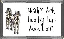 Zebras adopted from Noah's Ark