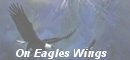 On Eagles Wings