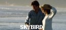 Sky Bird