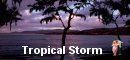 Tropical Storm