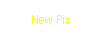 Text Box: New Pix
