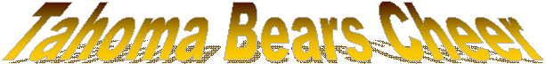 Tahoma Bears Cheer