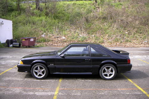 Image004.jpg (51510 bytes)