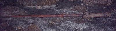 Harry Potter's Wand