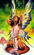 butterfae.jpg (15844 bytes)