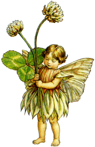 littlefairywith flower.gif (25511 bytes)