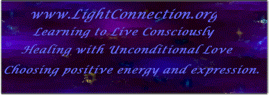 starrybanner2.gif (18827 bytes)