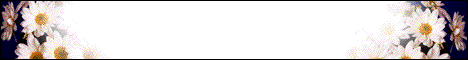 whiteflowers2.gif (9014 bytes)