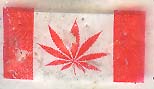 marijuanaflag.jpg