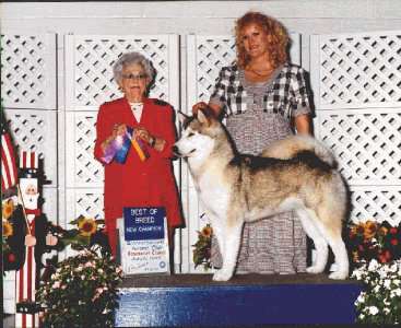 Brat goes Best of Breed