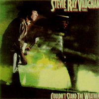 Couldn't Stand The Weather