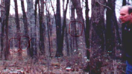 the ghosts we talk to along the pathway are clearly visible in this photo