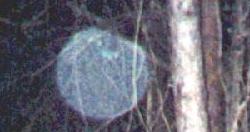 photo of a free spirit talking about religion