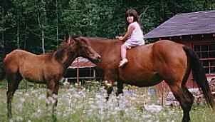 Honey Bean and Samantha