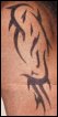 tatt6.jpg (2507 bytes)
